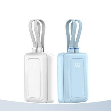 Custom Logo Dual-wire portable power bank | Premium Corporate Gifts and Custom Gifts
