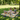 Custom Logo Waterproof Thickened Camping Picnic Mat | Premium Corporate Gifts and Custom Gifts