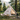 Custom Logo Camping Pyramid Tent | Premium Corporate Gifts and Custom Gifts