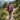 Custom Logo Mountaineering Outdoor Folding Large Capacity Backpack | Premium Corporate Gifts and Custom Gifts