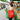 Custom Logo Flat Non Woven Shopping Bag Eco-friendly Bag | Premium Corporate Gifts and Custom Gifts
