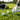Custom Logo Golf Triple Ball | Premium Corporate Gifts and Custom Gifts