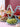 Custom Logo Creative Fruit Plate Rack | Premium Corporate Gifts and Custom Gifts