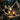 Custom Logo Camping Outdoor Atmosphere Lights | Premium Corporate Gifts and Custom Gifts