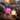 Custom Logo 3D Atmosphere Pai Planet Lights | Premium Corporate Gifts and Custom Gifts